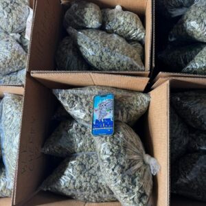 Exotic Weed - Image 2