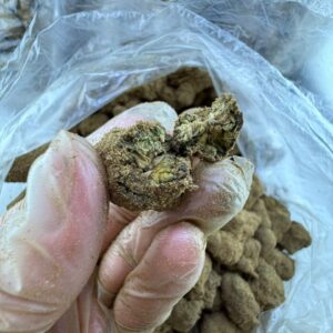 Exotic Weed - Image 3