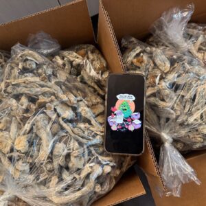 Buy Psychedelic Mushrooms
