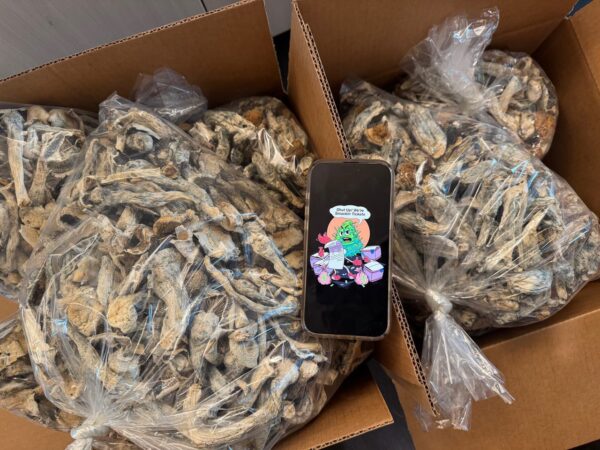 Buy Psychedelic Mushrooms